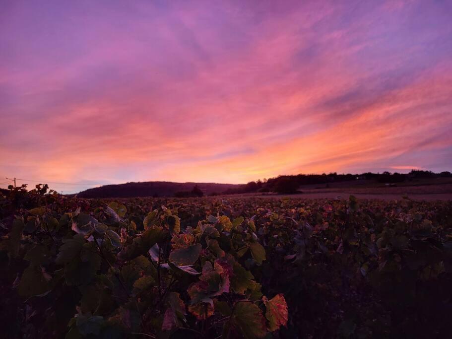 Le Clos Du Botaniste Pouilly-le-Monial Eksteriør billede