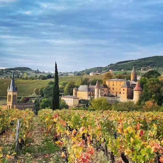 Le Clos Du Botaniste Pouilly-le-Monial Eksteriør billede